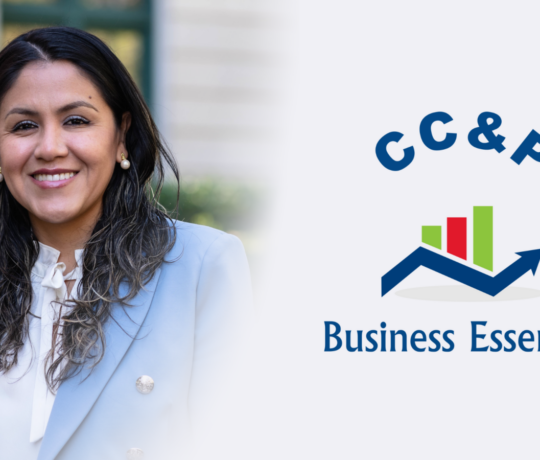 Cecilia Carrion - CC&P Business Services